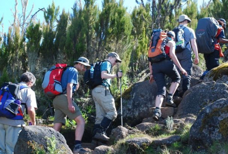 5 Tip Mendaki Gunung untuk Pemula: Persiapan Fisik dan Mental yang Sering Diabaikan