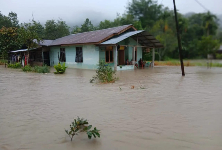  Bencana Banjir dan Longsor Sumut: 32 Tewas, Ribuan Kehilangan Tempat Tinggal