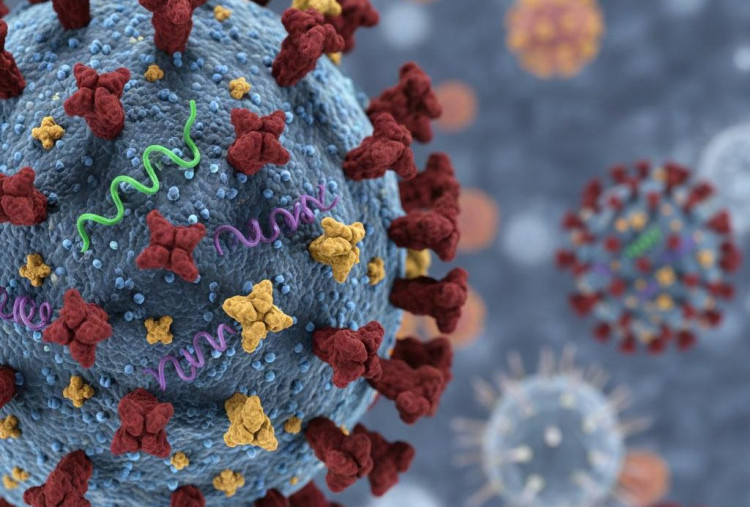 Geger Varian Flu Subclade K Masuk RI, Kemenkes: Jangan Panik, Mirip Flu Biasa!