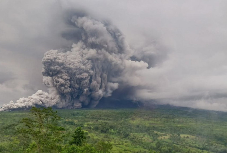 Gunung Semeru Erupsi Lagi, Awan Panas Capai 5 Km dari Puncak