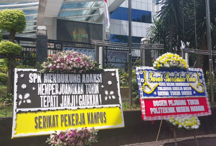 Demo di Istana 3 Februari, Dosen ASN Kemendiktisaintek Tuntut Tukin Tak Diskriminatif