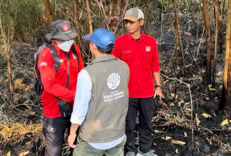 Fluktuasi Hotspot Karhutla di Kalsel: Sempat Turun ke 11, Kini Naik Lagi Jadi 44 Titik