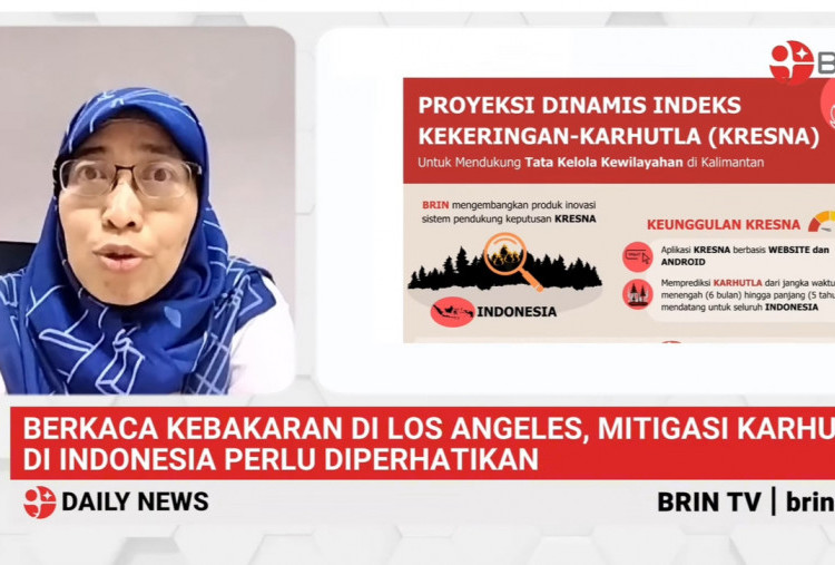 BRIN Sebut Kebakaran Dahsyat di LA Berpotensi Terjadi di Indonesia, Ingatkan Pemda Mitigasi