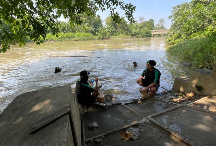 Ecoton Temukan 34 Spesies Ikan di Kali Surabaya, Kampanye Selamatkan Brantas dari Ancaman Mikroplastik