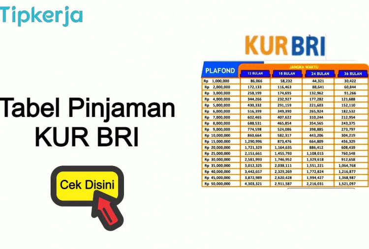 Bunga Rendah, Pinjaman KUR BRI Kian Diminati