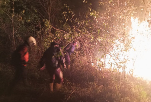 Karhutla di Jawa Masih Terus Terjadi: BPBD dan Damkar Semarang Pontang-Panting Padamkan Api dari Merbabu Sampai Sepakung