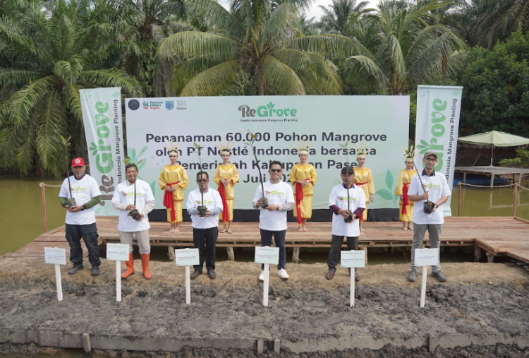 Pesona Hutan Mangrove Desa Modang, Destinasi Wisata Alam di Paser yang Wajib Dikunjungi