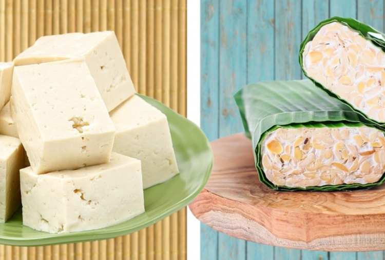 Protein Nabati Terbaik Selain Tahu Tempe