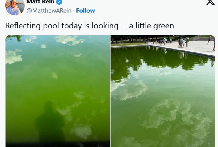 Lincoln Memorial Pool Menghijau Karena Alga, Netizen Samakan dengan Game Fallout 3 