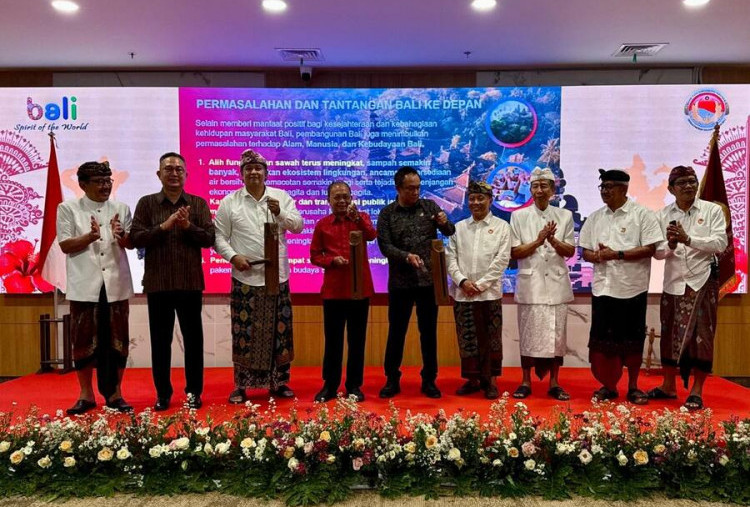 Lahan Bali Susut 700 Hektare per Tahun, Koster Ungkit Alih Fungsi