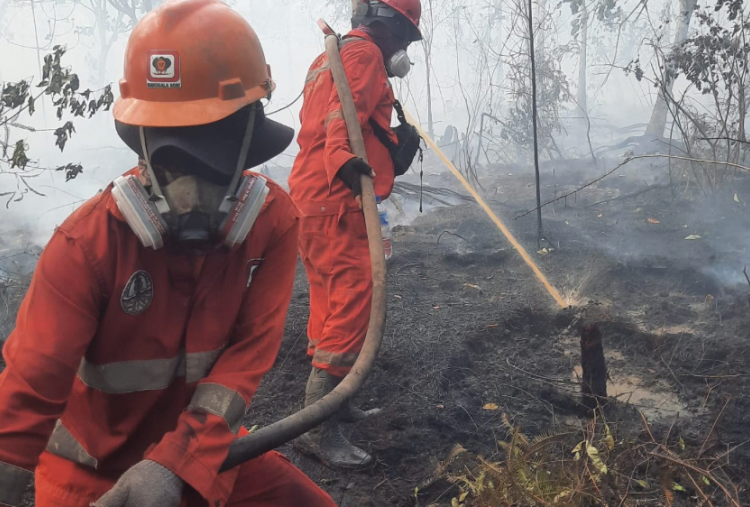 Atasi Karhutla Kalimantan, Pemerintah Optimalkan OMC dan Tambah Armada Udara