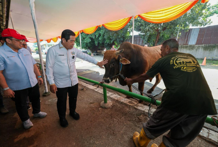 Iduladha 2026 di Jakarta, Khoirudin Cek Langsung RPH Dharma Jaya dan Kesehatan Hewan Kurban