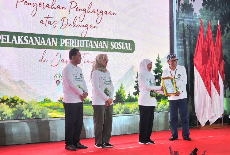 Prof. Adib Terima Penghargaan Gubernur Jatim atas Dedikasi Mengembangkan Perhutanan Sosial