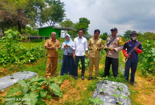 Anugerah Patriot Jawi Wetan II 2024: Desa Durbuk Kampung Asri yang Peduli Lingkungan