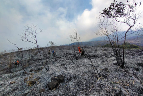 Jawa Dilanda Karhutla: Setelah Ciremai, Giliran Lereng Gunung Arjuno Terbakar