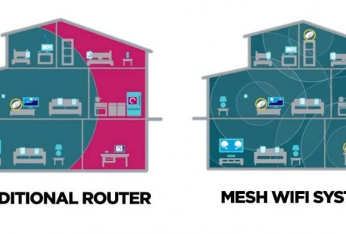 WiFi Extender VS Mesh Network: Apa Saja Perbedaannya?