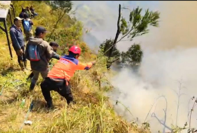 Belum padam hingga hari keempat, Kebakaran Hutan Gunung Bromo Meluas Hingga 70 Hektare