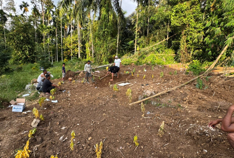 Kuburan Massal Korban Galodo di Agam, Ada Jenazah Tanpa Kepala hingga Puluhan Tak Diketahui Identitasnya