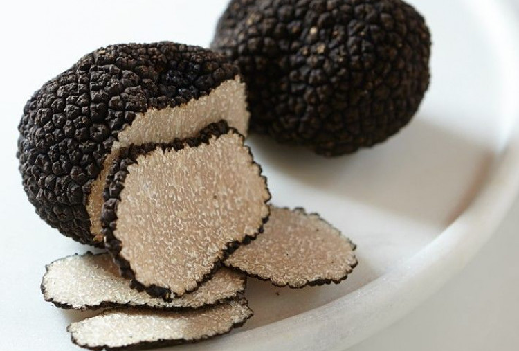 7 Fakta Menarik tentang Hidangan Mewah Truffle