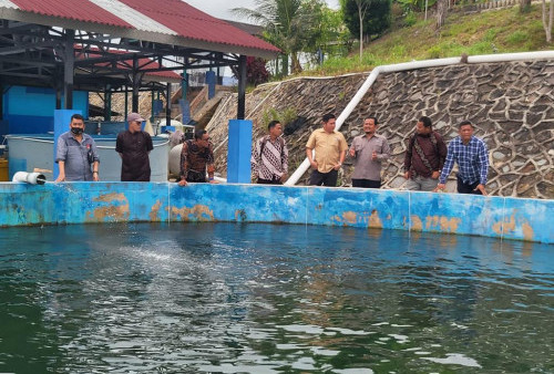 Harianto Minta Pemprov Babel Tingkatkan Budidaya Ikan Laut