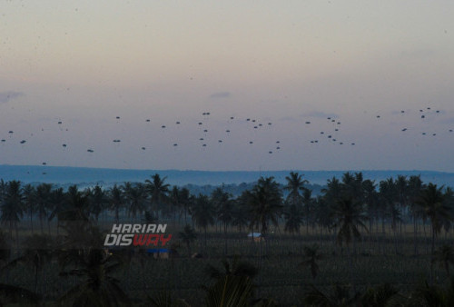 Ratusan penerjun payung dari Kopasus terlihat di langit saat Latihan Gabungan (Latgab) TNI di Situbondo, Jawa Timur, Selasa  1 Agustus 2023. Operasi darat itu merupakan bagian dari Latihan Gabungan TNI 2023 yang diikuti Angkatan Darat, Angkatan Laut dan Angkatan Udara. (Julian Romadhon/Harian Disway)


