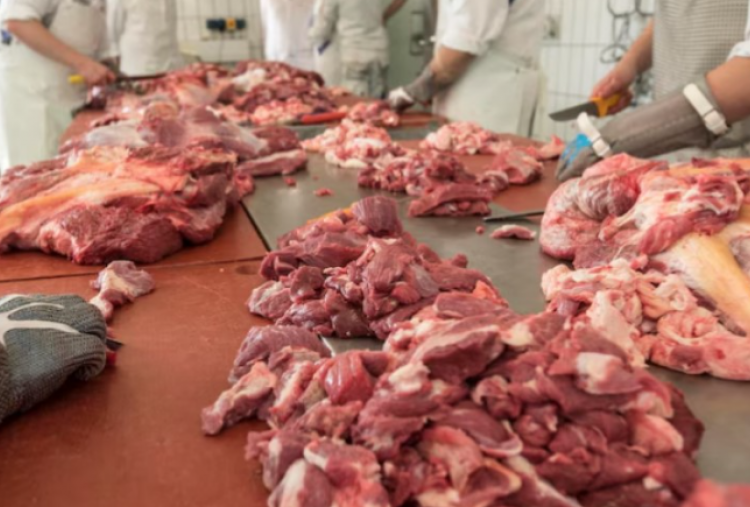Apakah Boleh Kita Memakan Hewan Kurban Sendiri? Ini Aturan dalam Islam