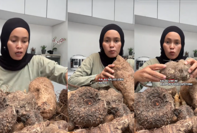Apa Itu Kimpul? Umbi Lokal Viral di TikTok dan X Punya Banyak Manfaat untuk Kesehatan Tubuh