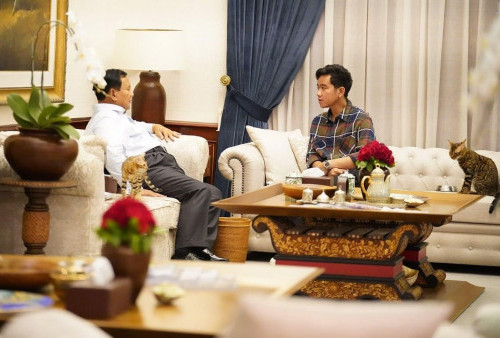  Dituding Ambil Peran di Pemerintahan Berikutnya, Jokowi: Tanyakan ke Prabowo