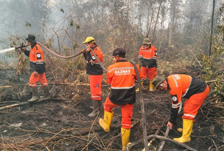 BAZNAS Tangani Karhutla di 12 Titik, Kerahkan 51 Personel dan Salurkan Bantuan