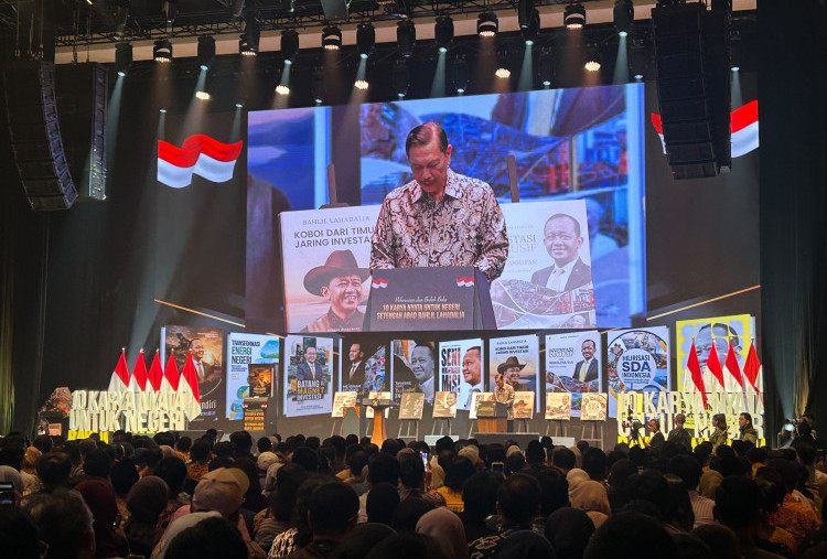 Luhut Kenang Indonesia Digugat WTO saat Larang Ekspor Nikel, Kini Investor Antre Masuk