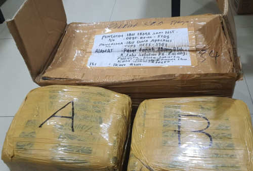 Polisi Ungkap Peredaran Narkoba di Tanah Abang, 12 Kilogram Ganja Diamankan