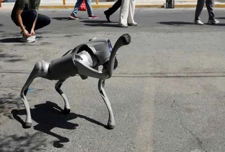 Canggih! Robot Anjing Siap Amankan Piala Dunia 2026 di Meksiko, Harganya Bikin Melongo