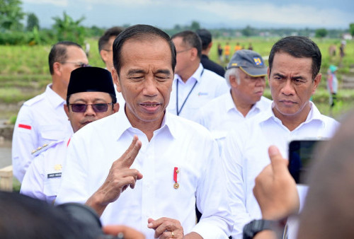 Investor Diberi HGU di IKN hingga 1,9 Abad, Begini Alasan Jokowi