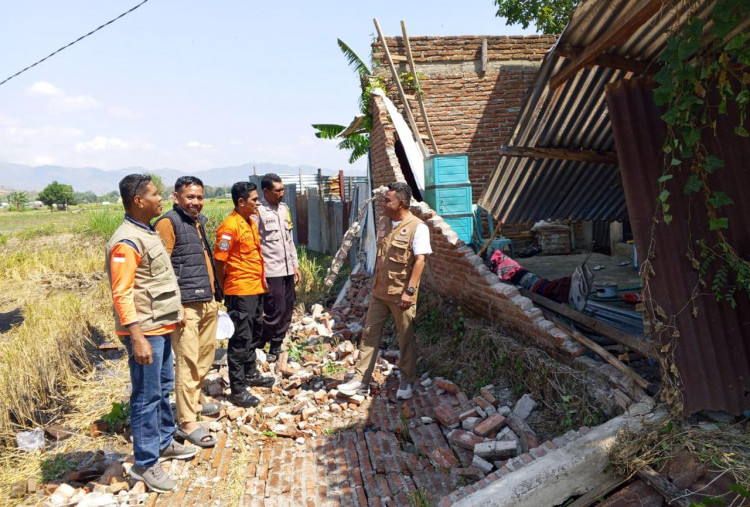 Pemprov NTT dan Sejumlah Kabupaten Tetapkan Status Tanggap Darurat Bencana Gempa M7,7 