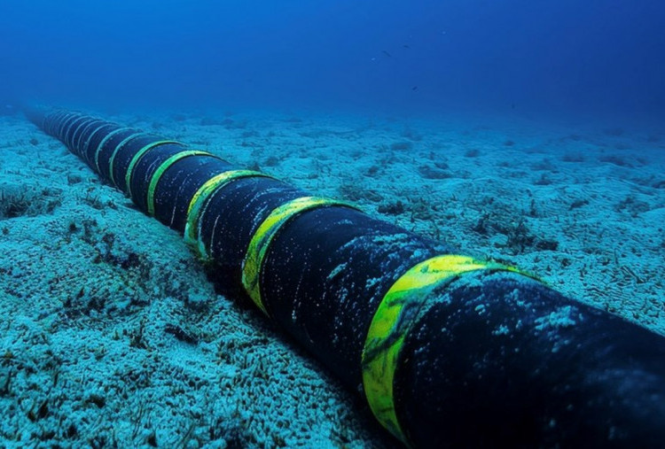 Daftar 27 Perusahaan Operator Kabel Laut Belum Selesaikan Laporan Tahunan Diungkap KKP, Ancaman Denda Rp5 Juta per Hari Menunggu