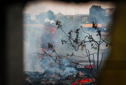 Petugas pemadam kebakaran melakukan pembasahan api saat terjadi kebakaran lahan di Stasiun Sidotopo Surabaya, Jawa Timur, Selasa, 12 September 2023. Kebakaran lahan tersebut membuat panik warga sekitar karena dekat dengan permukiman warga dan kebakaran tersebut diduga karena intensitas kemarau yang mengakibatkan lahan mudah terbakar. (Ma'ruf Zaky/Harian Disway)
