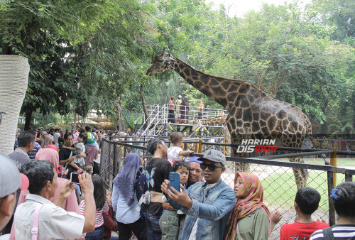Rekor Libur Tahun Baru, Wisata Surabaya Panen Pengunjung