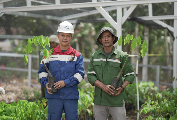 PGN Stasiun Pagardewa Kenalkan 'Sister Dewa', Dukung Petani Karet Lakukan Replanting