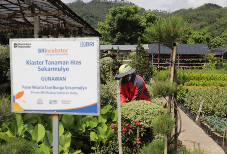 BRI Berdayakan 41 Ribu Klaster Usaha untuk Dorong Pertumbuhan UMKM di Seluruh Indonesia