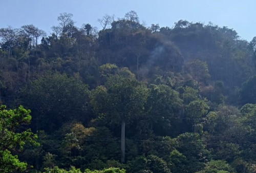Kebakaran Gunung Jayanti Sukabumi Terkendali Pada Dini Hari, Petugas Masih Lakukan Pemantauan Titik Api  