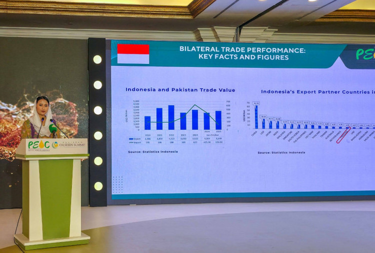 Bertemu Importir di Karachi, Wamendag Roro Bahas Jalur Pengiriman Produk Indonesia ke Pakistan