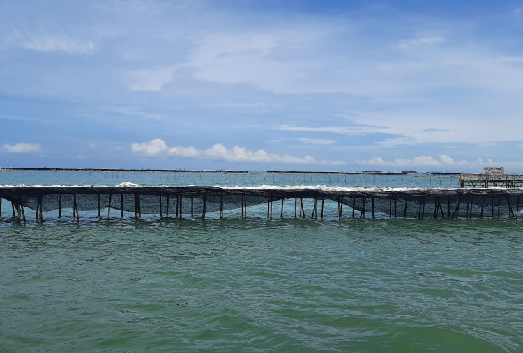 Ombudsman Banten Sebut 3.888 Nelayan Terdampak Akibat Adanya Pagar Laut Misterius di Pesisir Tangerang