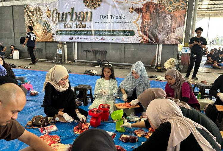 Sapi Kurban Iduladha Berbobot 1.280 Kilogram Didistribusikan ke Sejumlah Kota di Indonesia