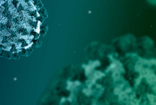3 Virus yang Berpotensi Jadi Pandemi Berikutnya Serta Persiapan yang Bisa Dilakukan  