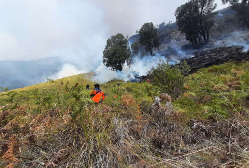 Bukit Teletubies Bromo Terbakar, Sebagian Kawasan Wisata Ditutup