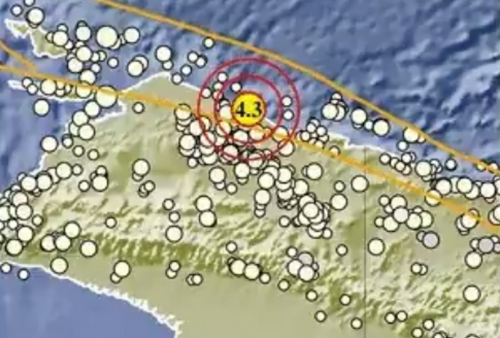 Info Gempa Bumi Guncang Sarmi Papua, Berkekuatan M 4,3