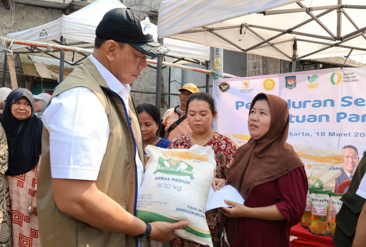 Dirut BULOG Salurkan Bantuan Pangan Nasional Serentak, 33 Juta Penerima Dapat Beras dan Minyak