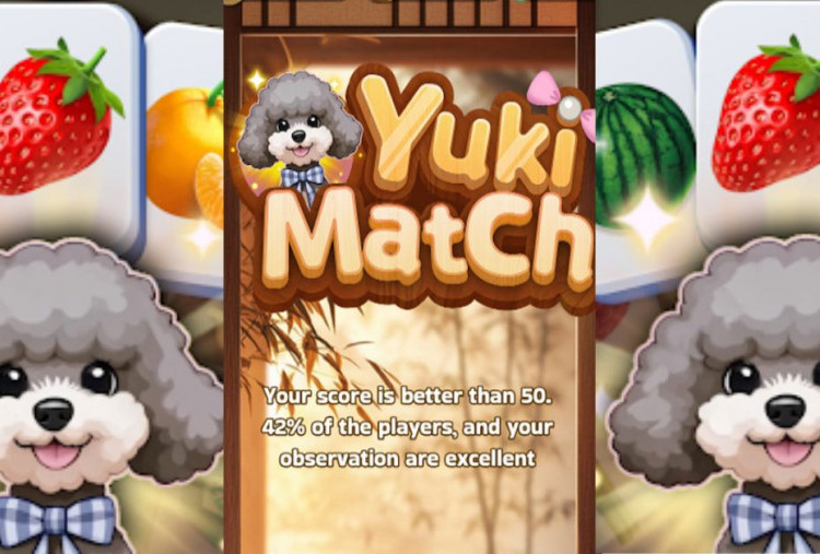 Cara Hasilkan Saldo DANA Rp 971.000 dari Game Yuki Match, Simak Trik Cepatnya! 