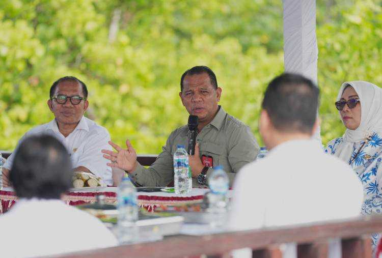 Kunker ke Budo, Dirjen Bina Pemdes Kemendagri Ajak Kolaborasi Majukan Desa