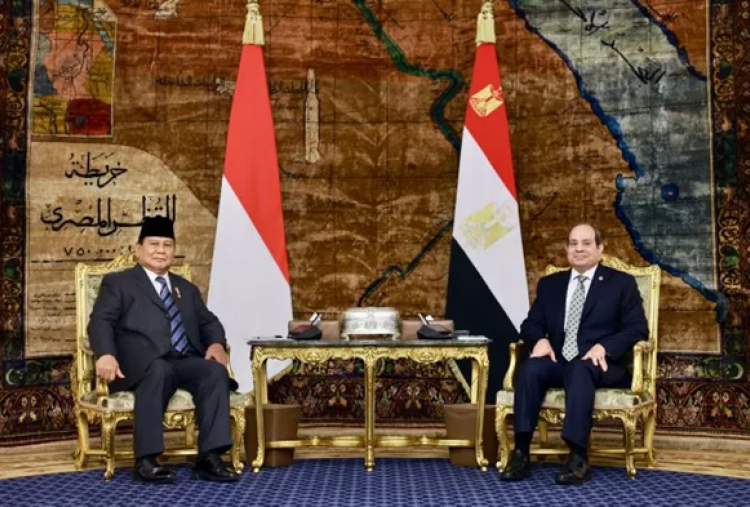 Prabowo dan Presiden Mesir Kompak Suarakan Gencatan Senjata di Palestina